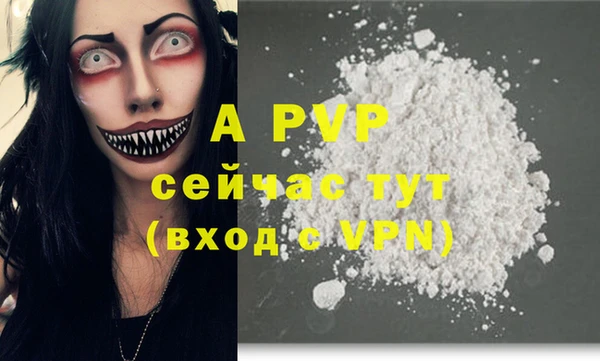 прущие крисы Белокуриха