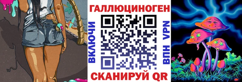Псилоцибиновые грибы Psilocybe  Купить закладки  Семилуки 